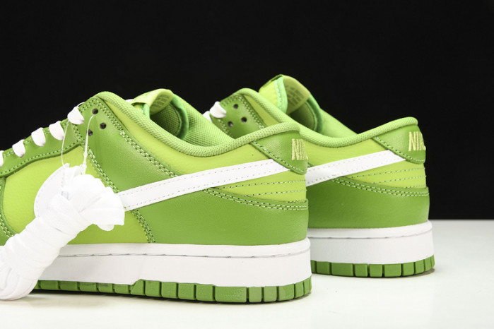 Nike Dunk Low DJ6188-300