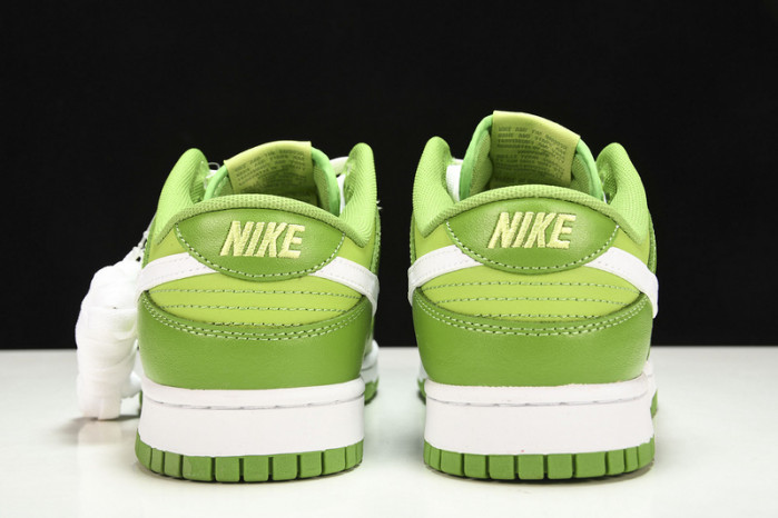 Nike Dunk Low DJ6188-300